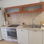 Apartments Srzic No1