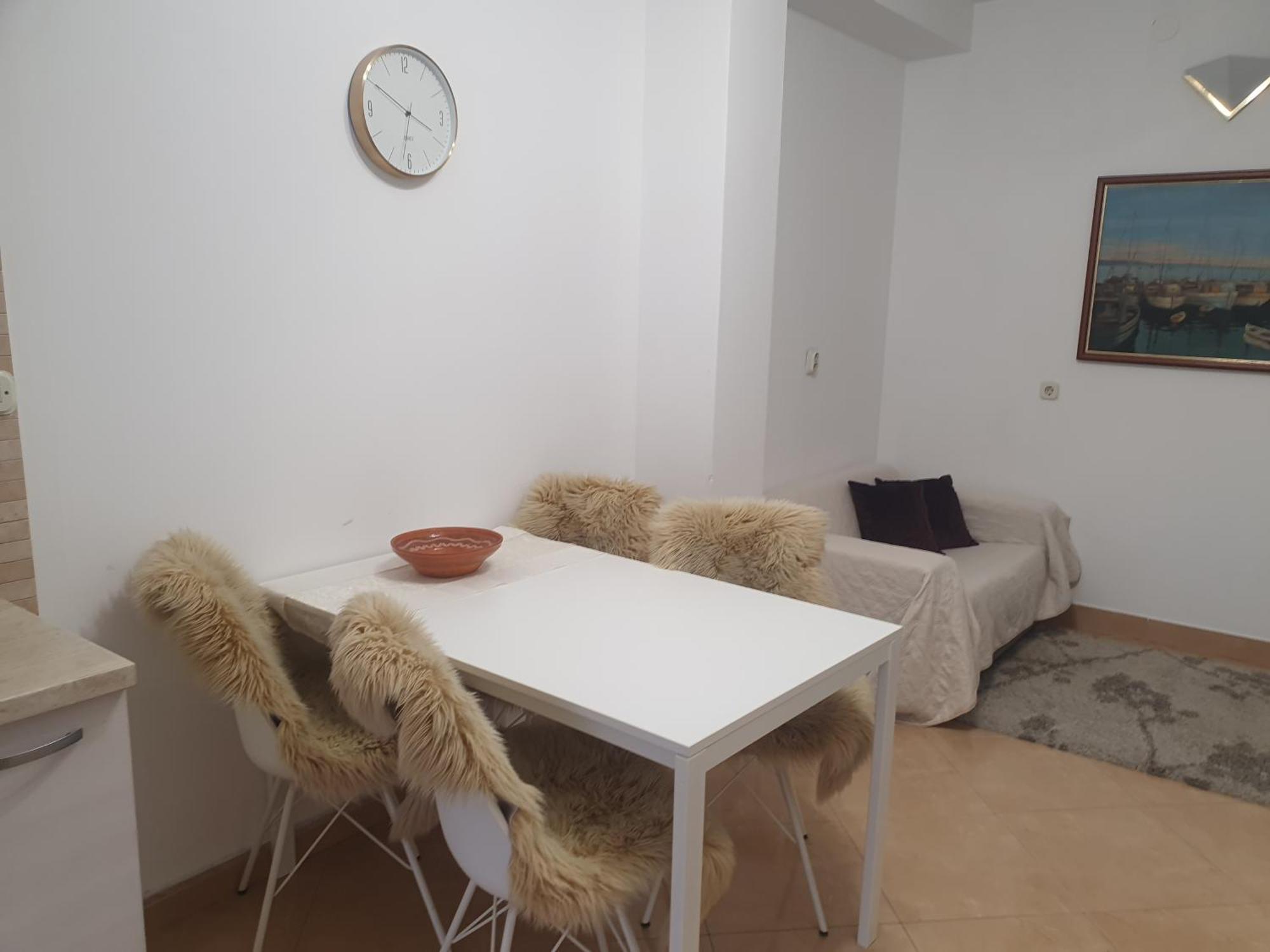 Apartment Srzic No1